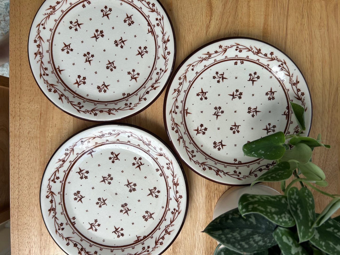 Sango Banquet Brown Floral Salad Plates | 1980s