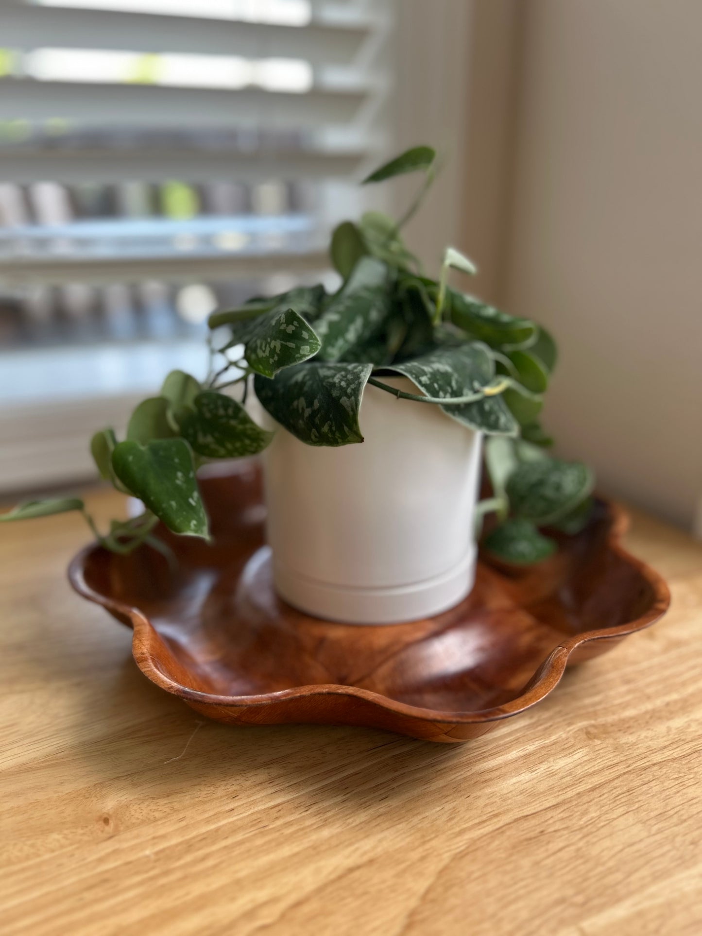 Wooden Petal Bowl | Mid-Century Modern