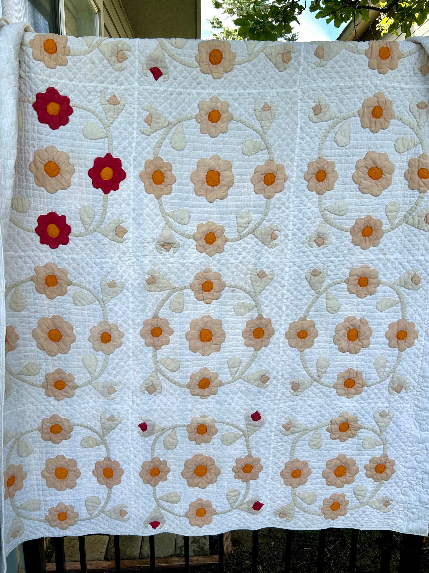 Appliqué Floral Quilt | Early 1900s