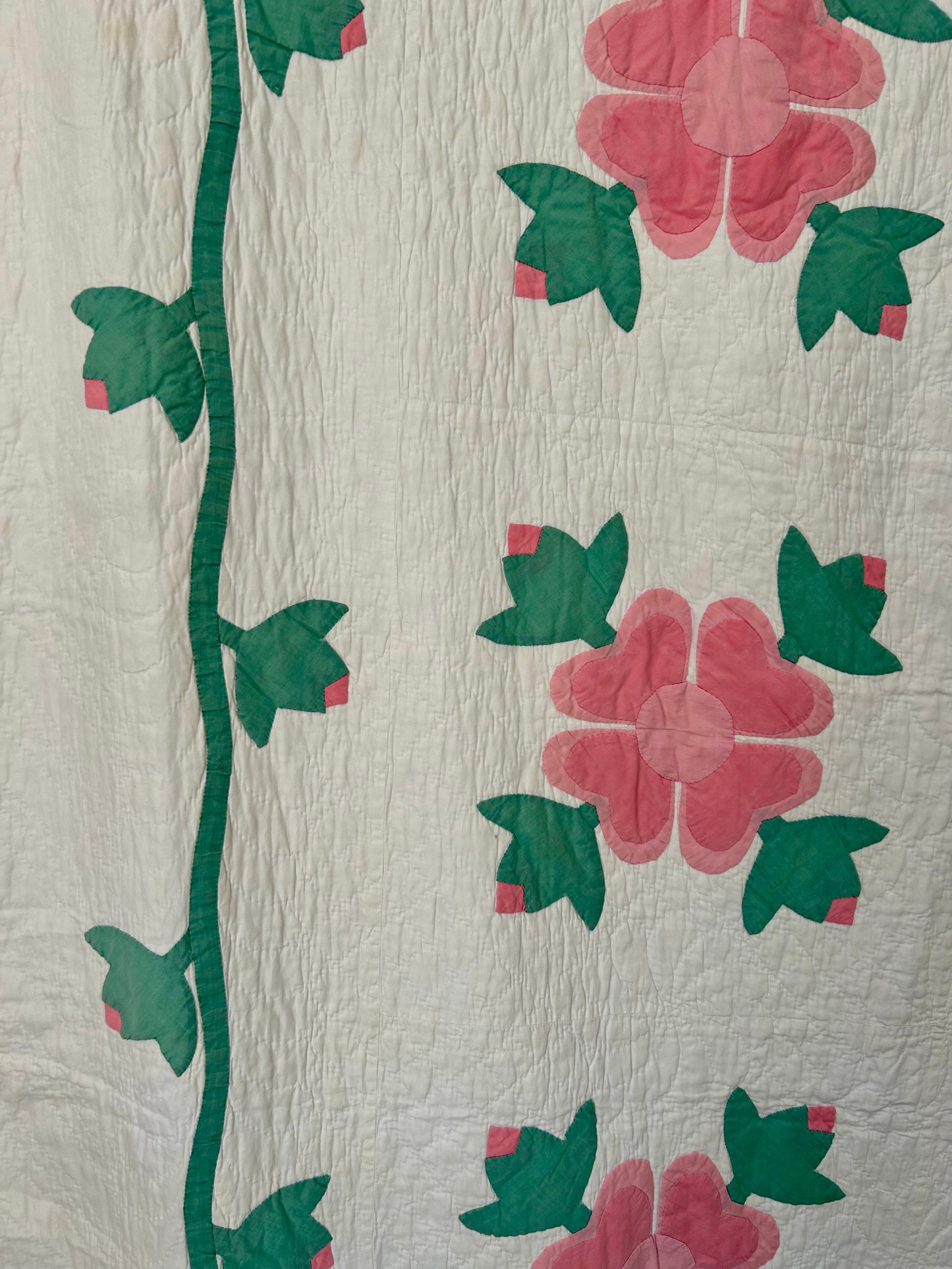 Pink Rose of Sharon Quilt | 1924