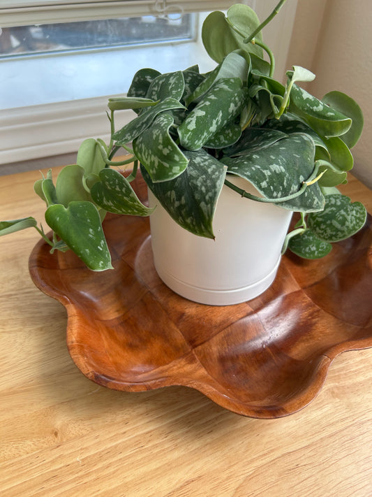 Wooden Petal Bowl | Mid-Century Modern