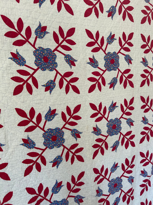 Darling Whig Rose Quilt | 1970s