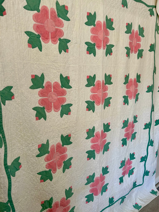 Pink Rose of Sharon Quilt | 1924